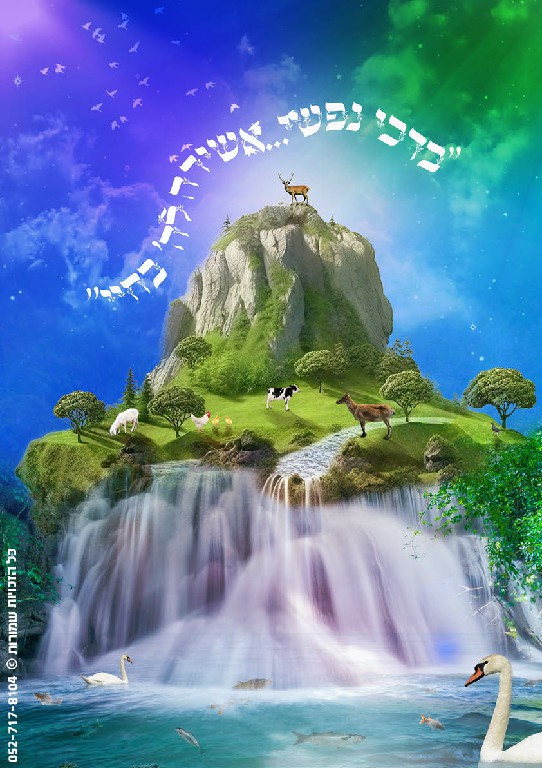 עיצוב פוסטר לסוכות